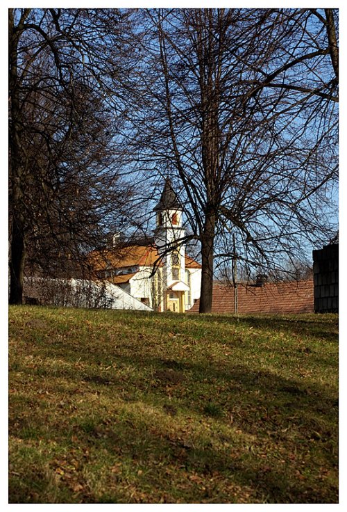 Wiśniowa
