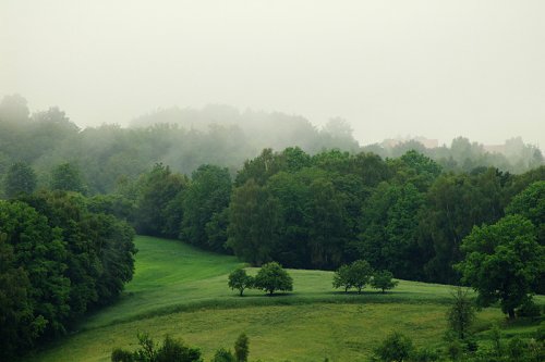 Strzyżów