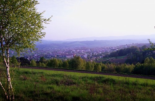 Strzyżów