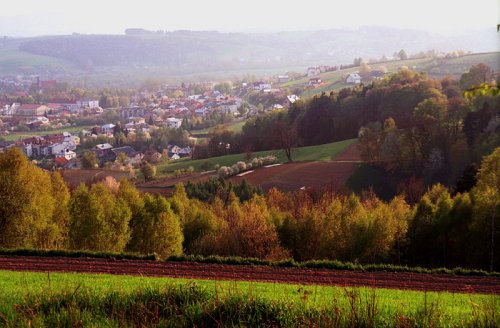 Strzyżów