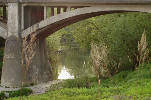 Strzyżów