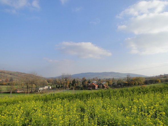 Żyznów