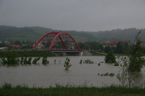 Strzyżów pod wodą