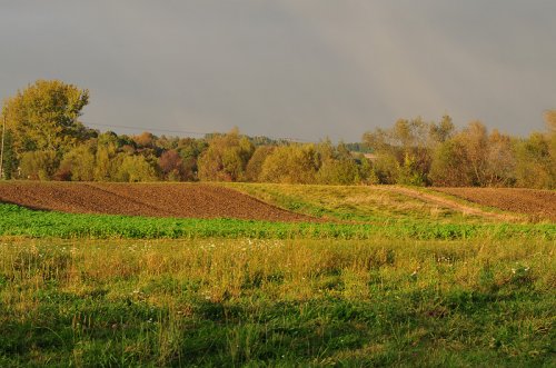 W jesiennym słońcu