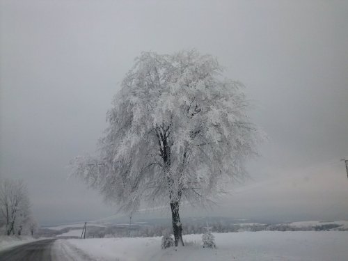 Widok na Jawornik