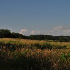 Panorama-czerwiec2009