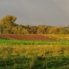 W jesiennym słońcu