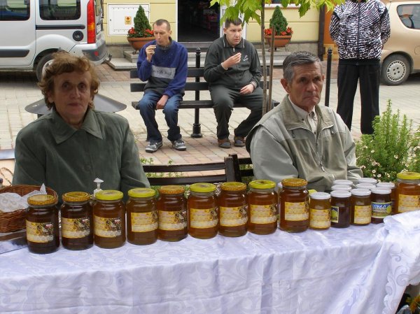 Drugi dzień obchodów Dni Ziemi Frysztackiej 2011