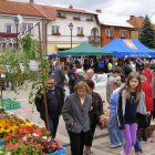 Drugi dzień obchodów Dni Ziemi Frysztackiej 2011