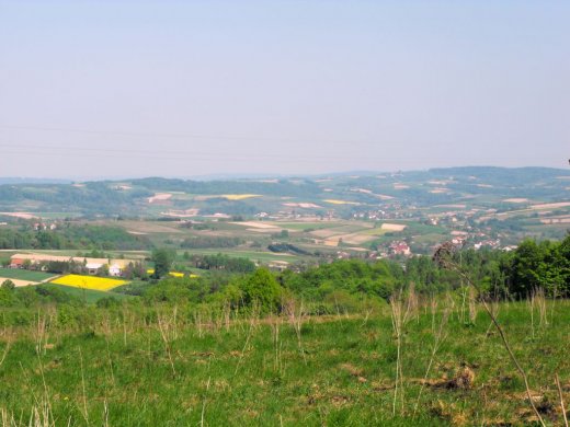 powiat strzyżów