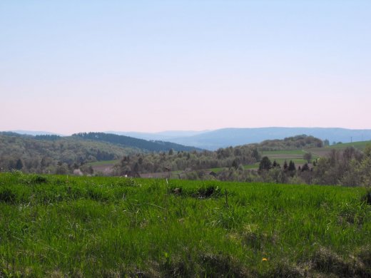 Widok Łętownia na Strzyżów