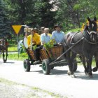 Dożynki Malinowe Połomia 2011