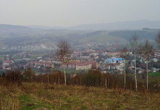 Strzyżów