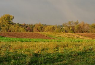 W jesiennym słońcu