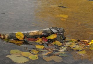 W jesiennym słońcu