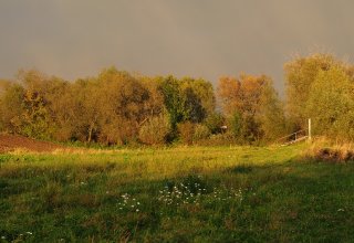 W jesiennym słońcu