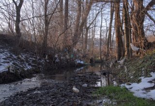 Polskie rzeki to śmietnik!