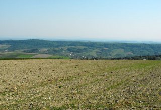 Widok z powiatu strzyżowiskiego