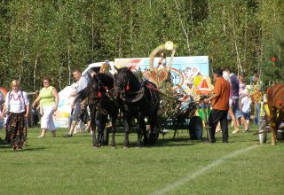 fot. Tomasz Bysiewicz