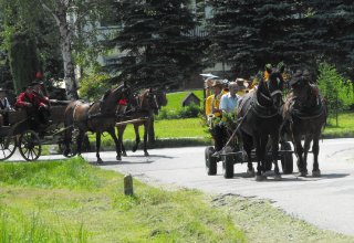 Dożynki 2011 w Strzyżowie