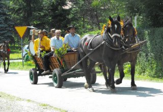 Dożynki 2011 w Strzyżowie