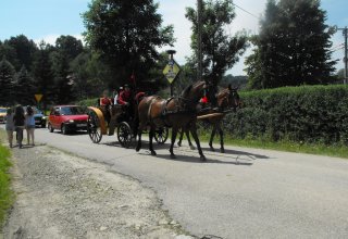 Dożynki 2011 w Strzyżowie