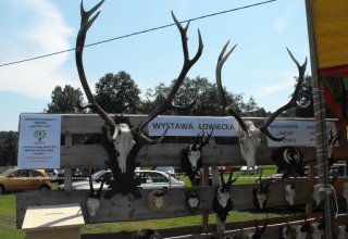 Dożynki 2011 w Strzyżowie