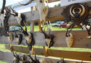 LKS ALBATROS - PŁOMYK NIEBYLEC (3-1)