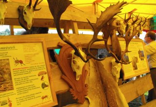 Dożynki Malinowe Połomia 2011