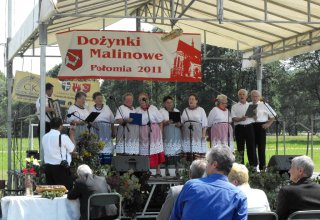 Dożynki 2011 w Strzyżowie