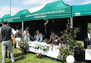 Dożynki 2011 w Strzyżowie