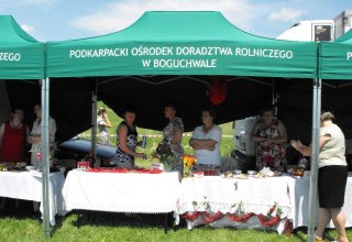 Dożynki Malinowe Połomia 2011