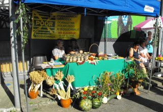 Dożynki 2011 w Strzyżowie