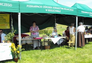 Dożynki Malinowe Połomia 2011