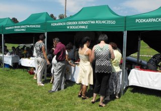 Dożynki Malinowe Połomia 2011