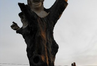 I Międzynarodowego Plener w Drewnie - Gogołowskie drzewoludy 2009