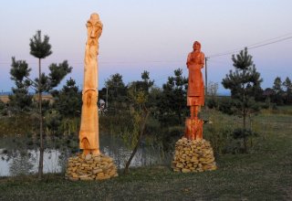 I Międzynarodowego Plener w Drewnie - Gogołowskie drzewoludy 2009