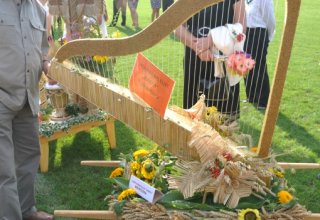 Wisłok Strzyżów - Wisłoka Dębica 1:2