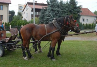 Tour de Pologne przez Strzyżow - fot. Tomasz Ciombor