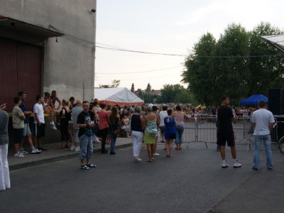 Zdjęcia z Pikniku Piknik Historycznego. W hołdzie walczącym o wolność. 