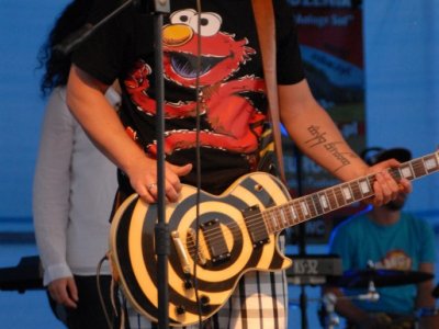 Piknik drobiowy 2013 zdjęcia