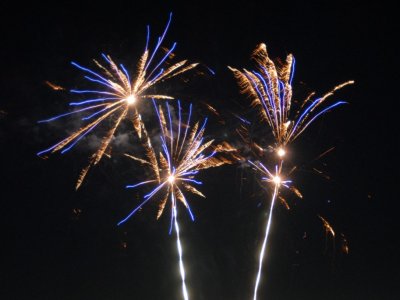 Galeria zdjęc z Dni Ziemi Frysztackiej 2013, koncert Sami