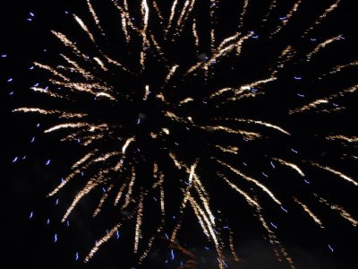 Galeria zdjęc z Dni Ziemi Frysztackiej 2013, koncert Sami