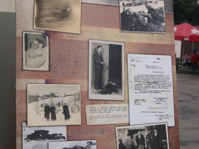 Zdjęcia z Pikniku Piknik Historycznego. W hołdzie walczącym o wolność. 