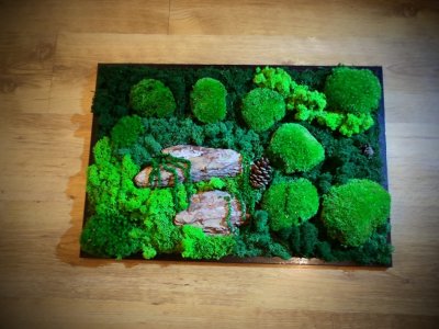 Sprzedam obraz z mchu w czarnej ramie. 