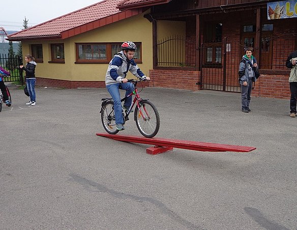 rower strzyżów