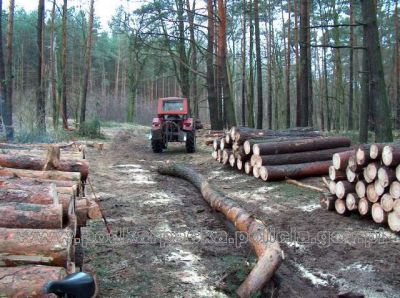 Tragiczne zdarzenie w Gogołowie!