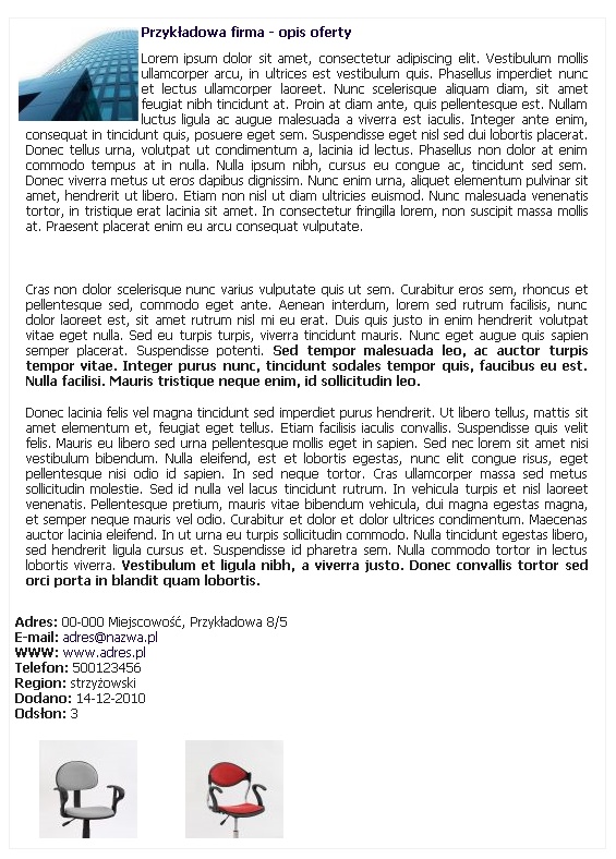 przykładowa prezentacja firmy