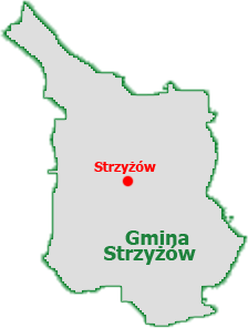 gmina strzyżów