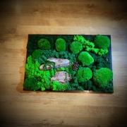 Sprzedam obraz z mchu w czarnej ramie. 